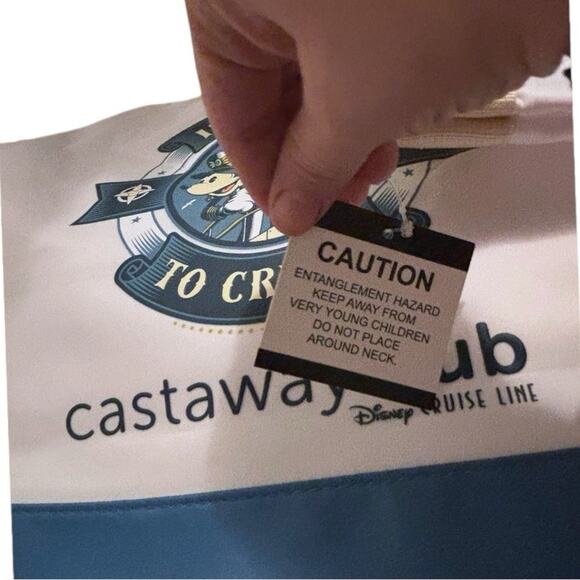 NWT Disney Cruise Line 25th Silver Anniversary Castaway Club Tote Captain Mickey - Picture 6 of 6